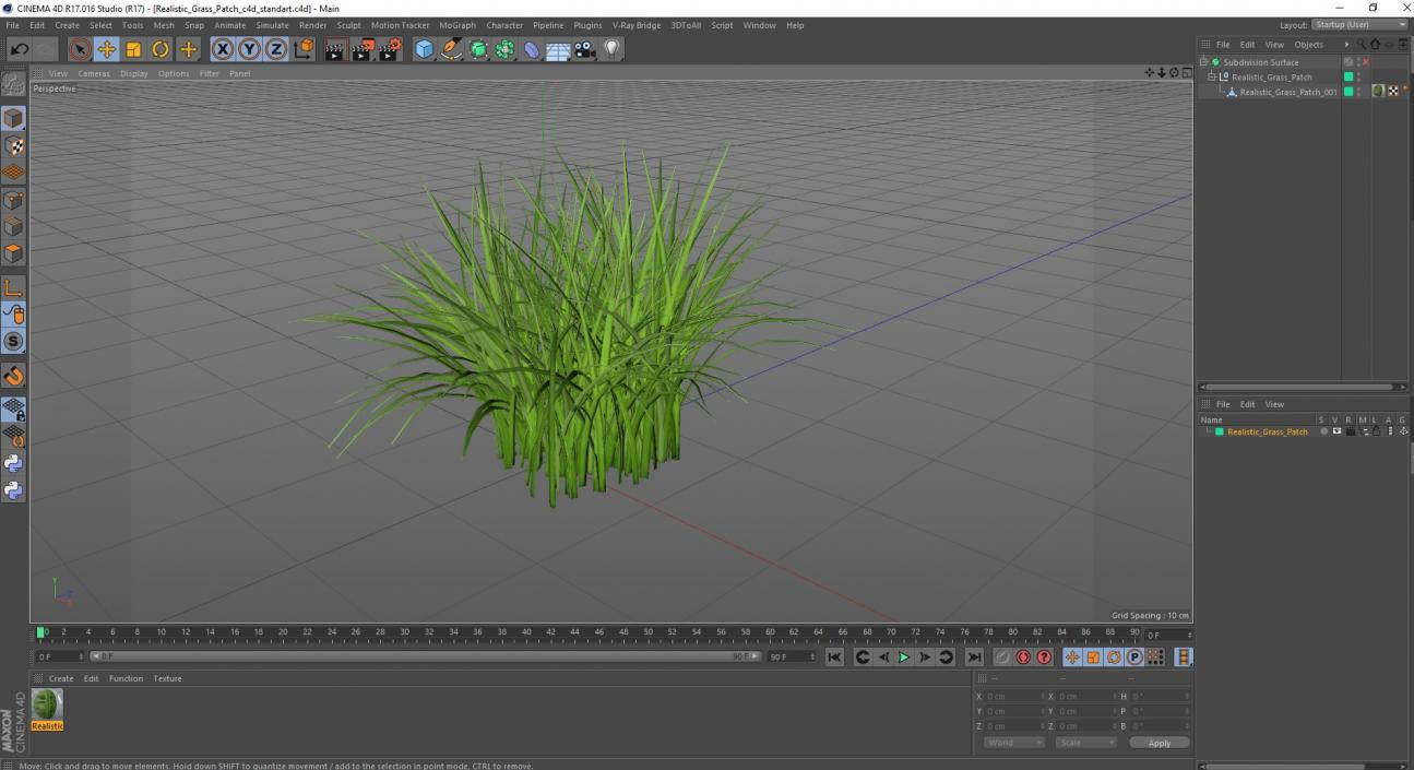 3D Realistic Grass Patch