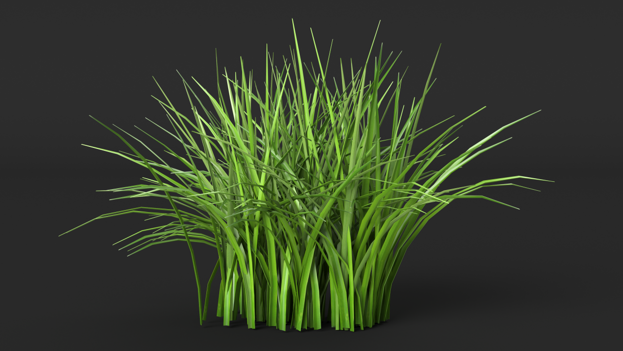 3D Realistic Grass Patch