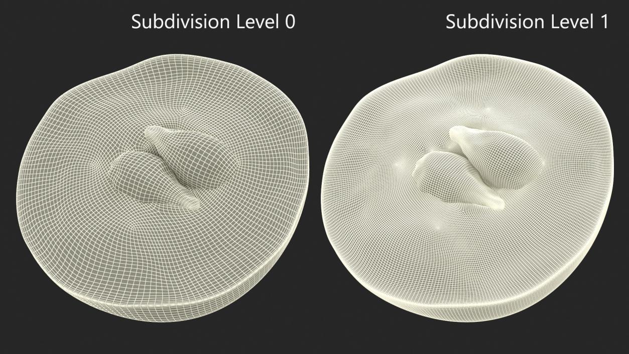 Sliced Grape 3D