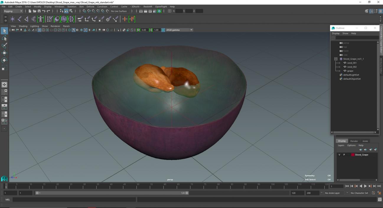 Sliced Grape 3D