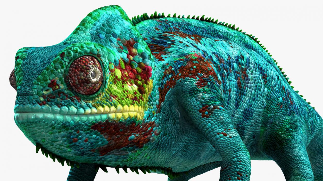 Panther Chameleon Rigged 3D model