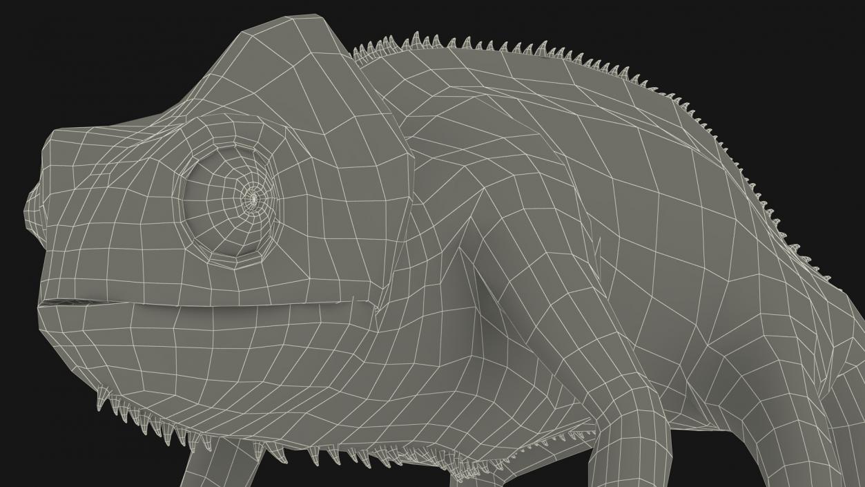 Panther Chameleon Rigged 3D model