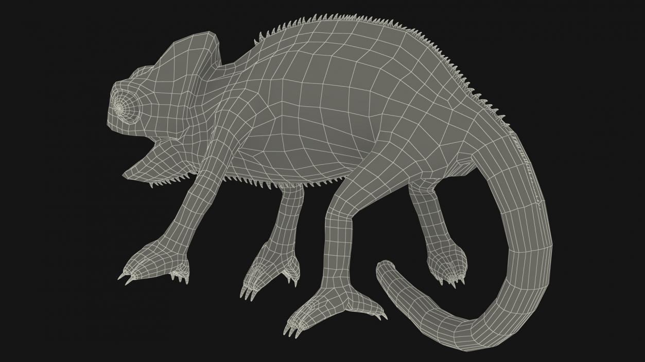 3D Panther Chameleon Rigged for Maya model