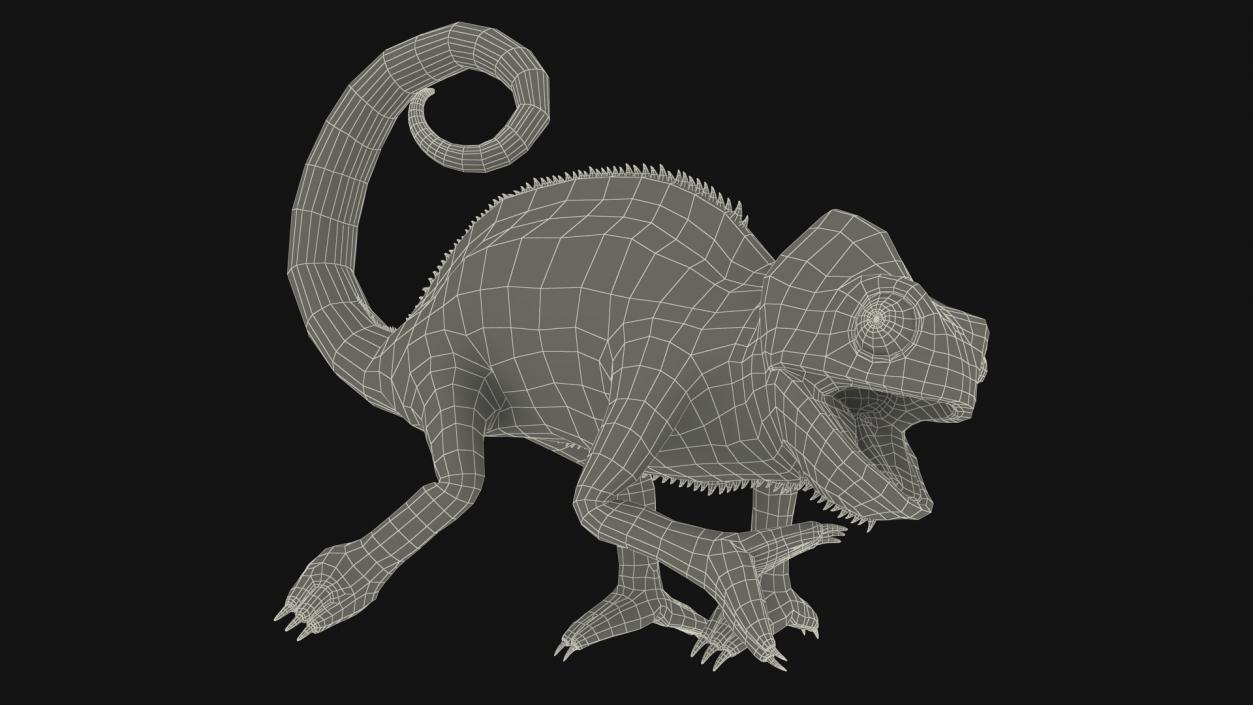 Panther Chameleon Rigged 3D model