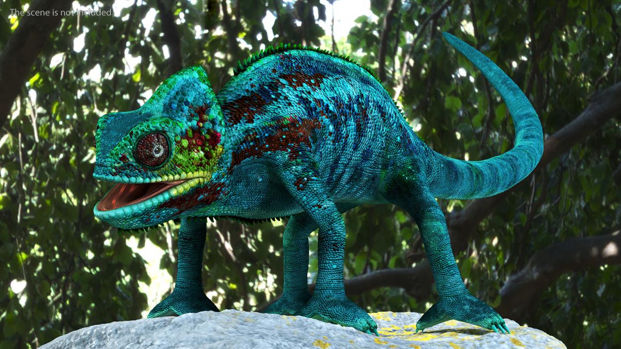 3D Panther Chameleon Rigged for Maya model