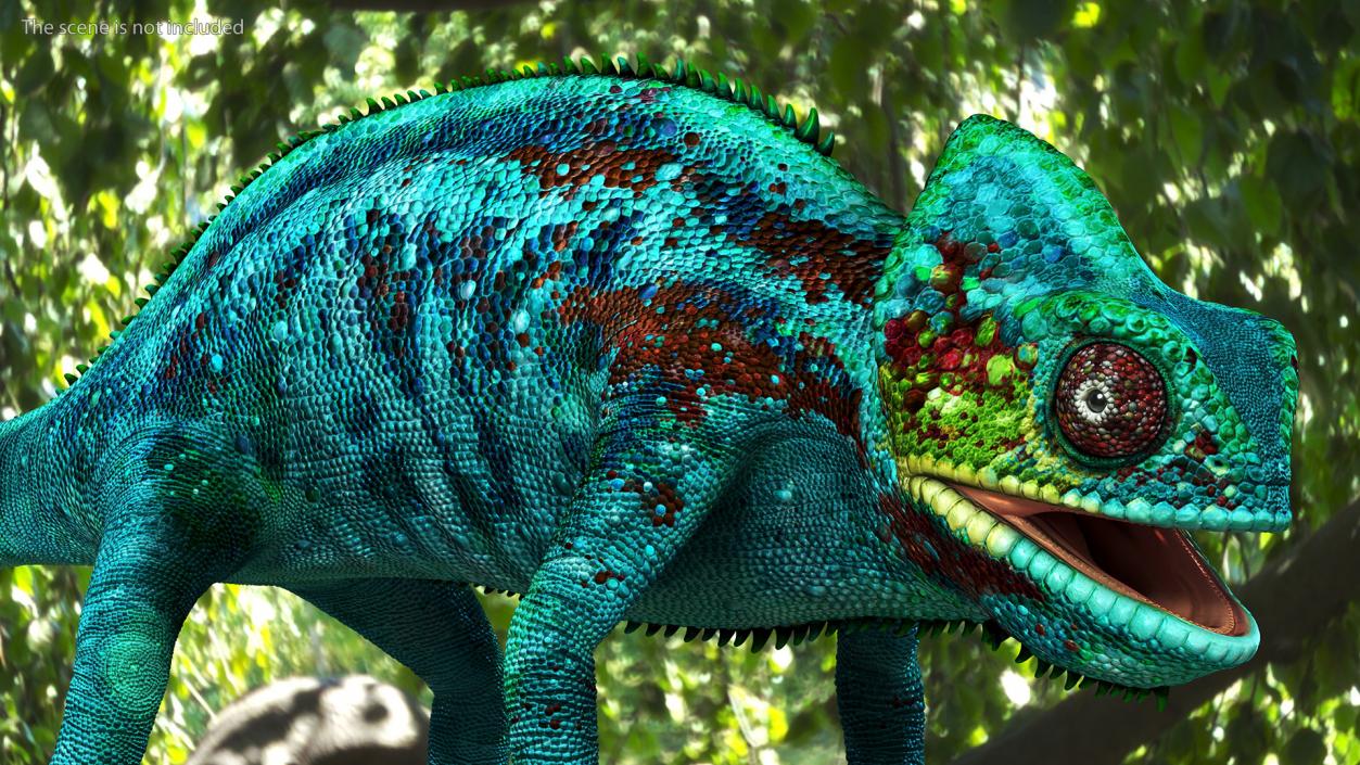 Panther Chameleon Rigged 3D model