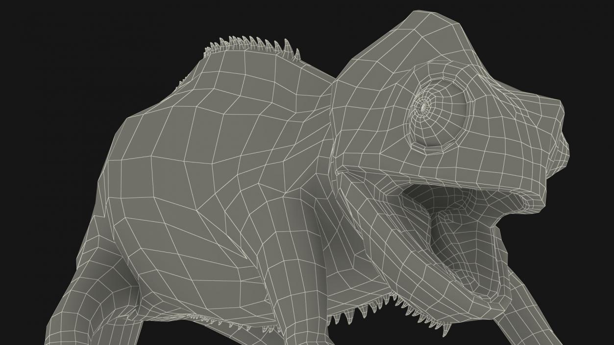 Panther Chameleon Rigged 3D model