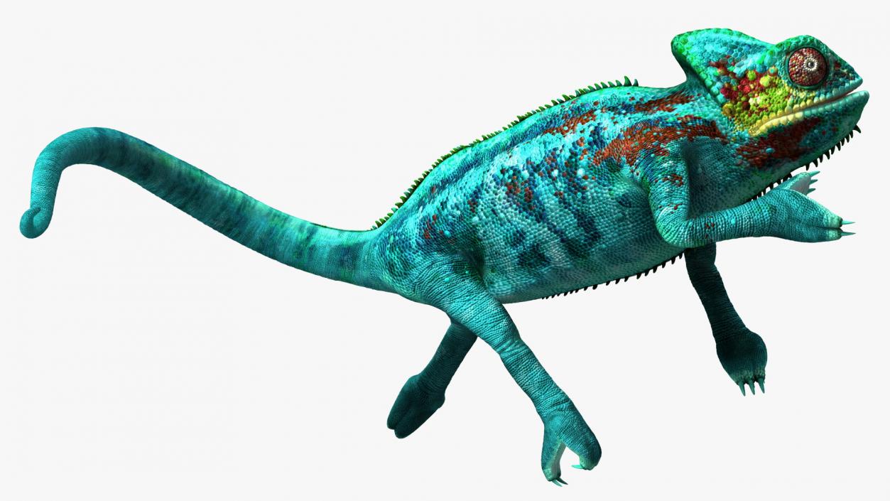 3D Panther Chameleon Rigged for Maya model