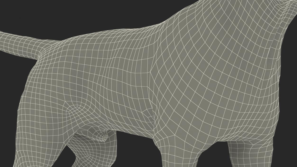 Labrador Dog Black Standing 3D