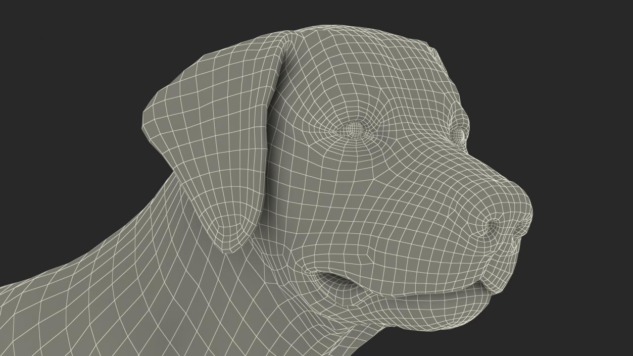 Labrador Dog Black Standing 3D