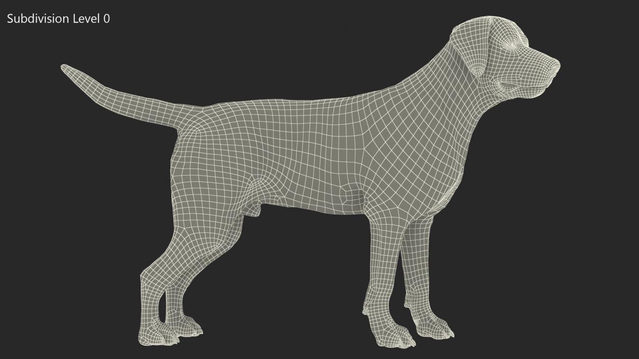 Labrador Dog Black Standing 3D