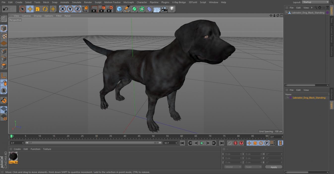 Labrador Dog Black Standing 3D