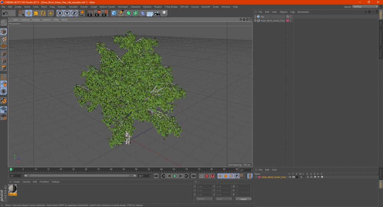 3D Silver Birch Green Tree model