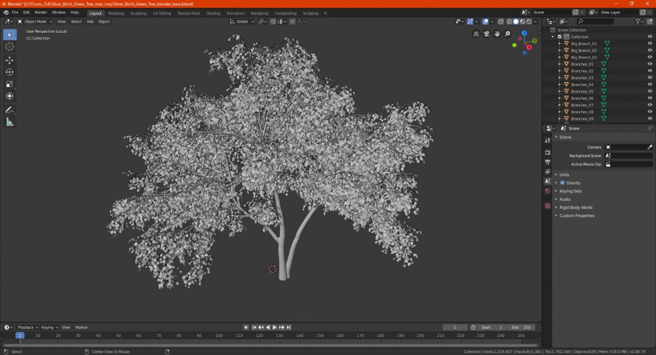 3D Silver Birch Green Tree model