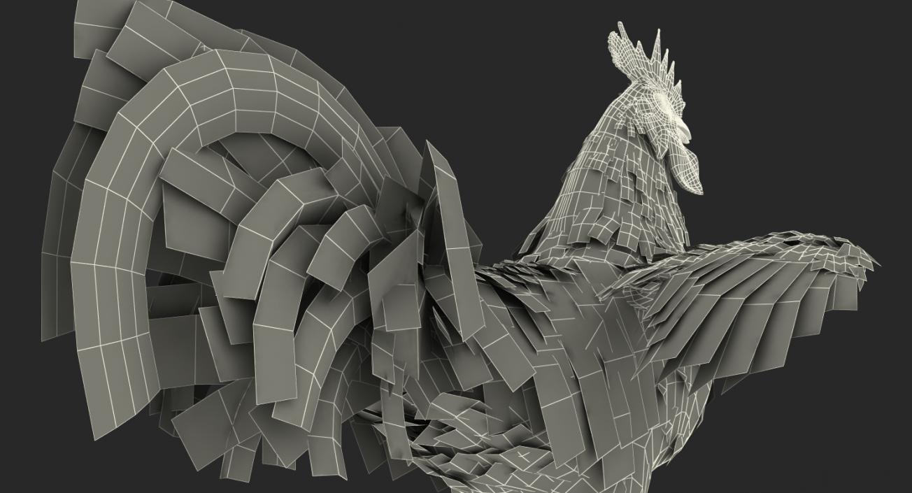 Rooster 3D model