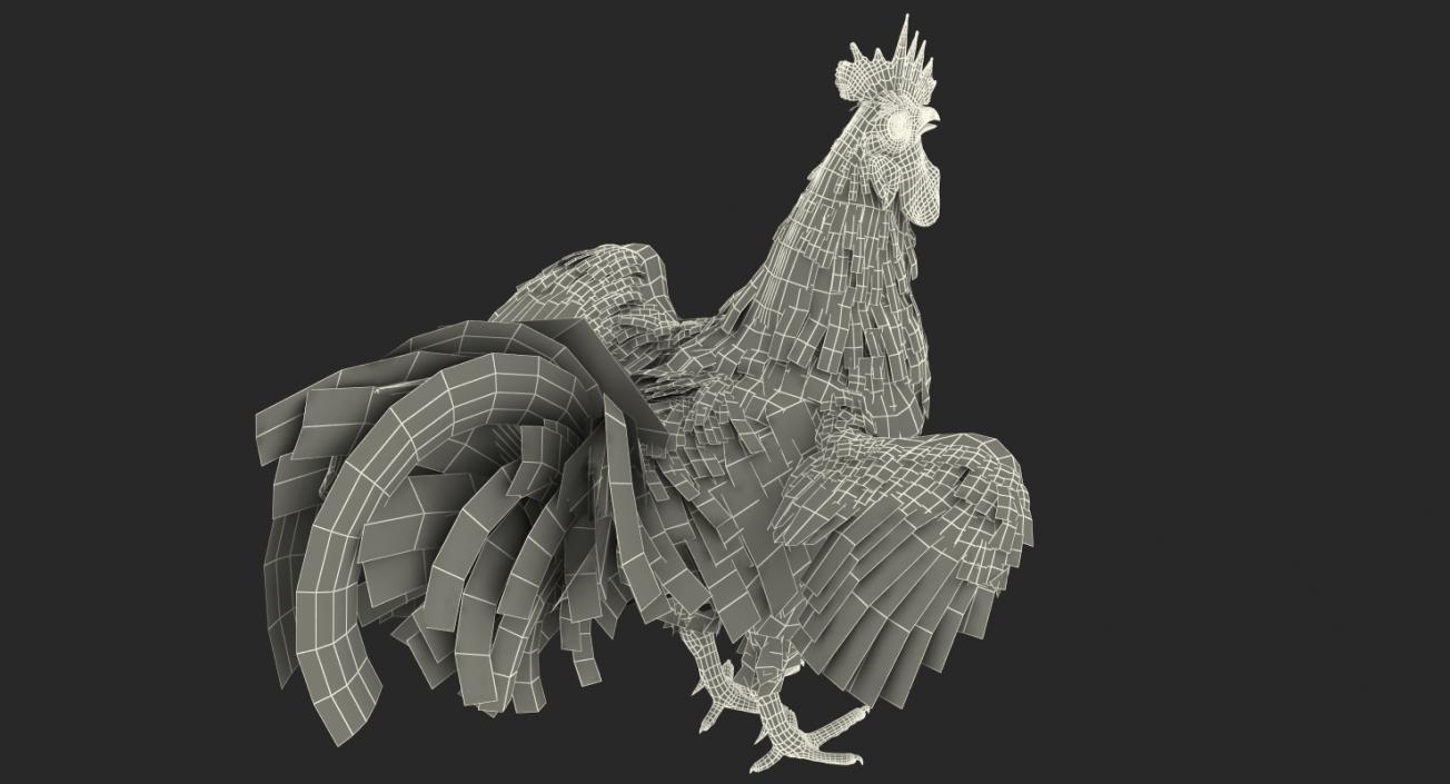 Rooster 3D model