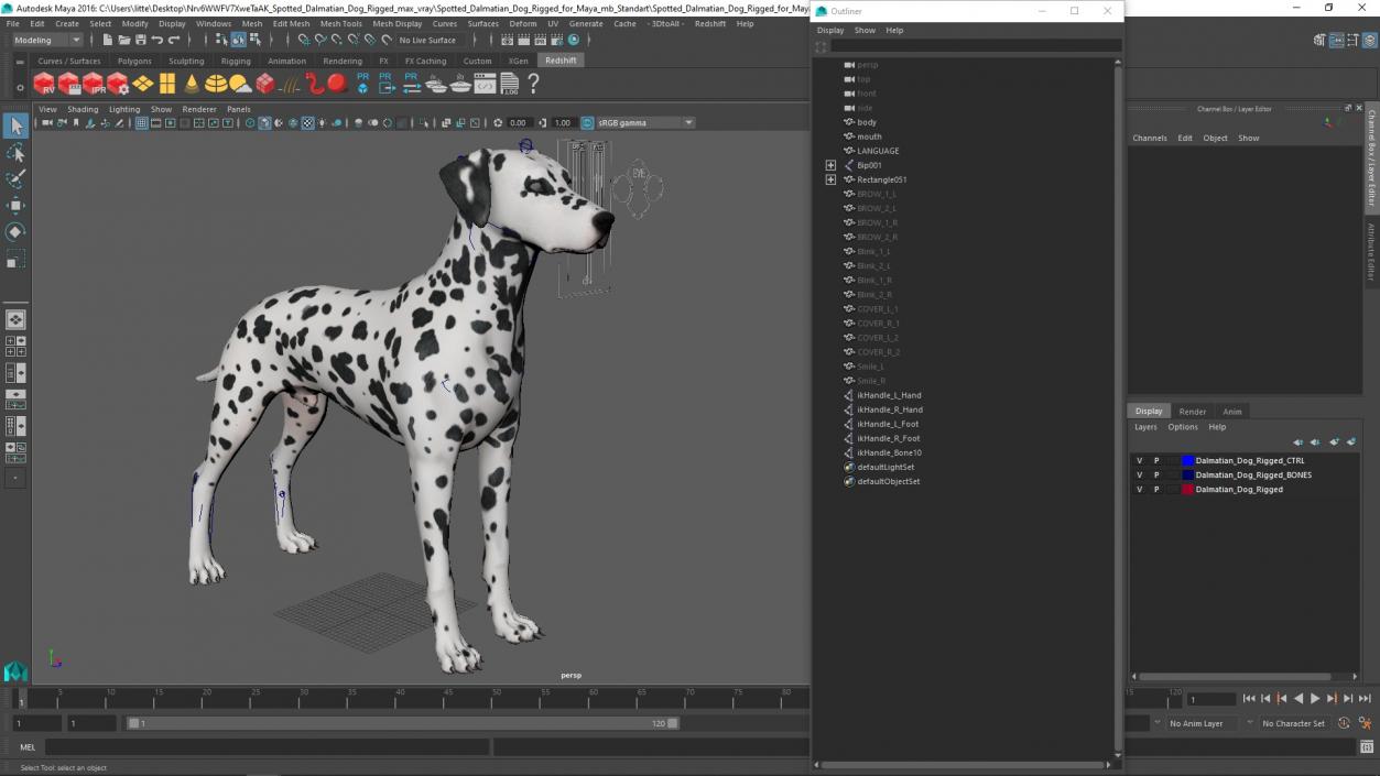 Spotted Dalmatian Dog Rigged for Maya 2 3D model