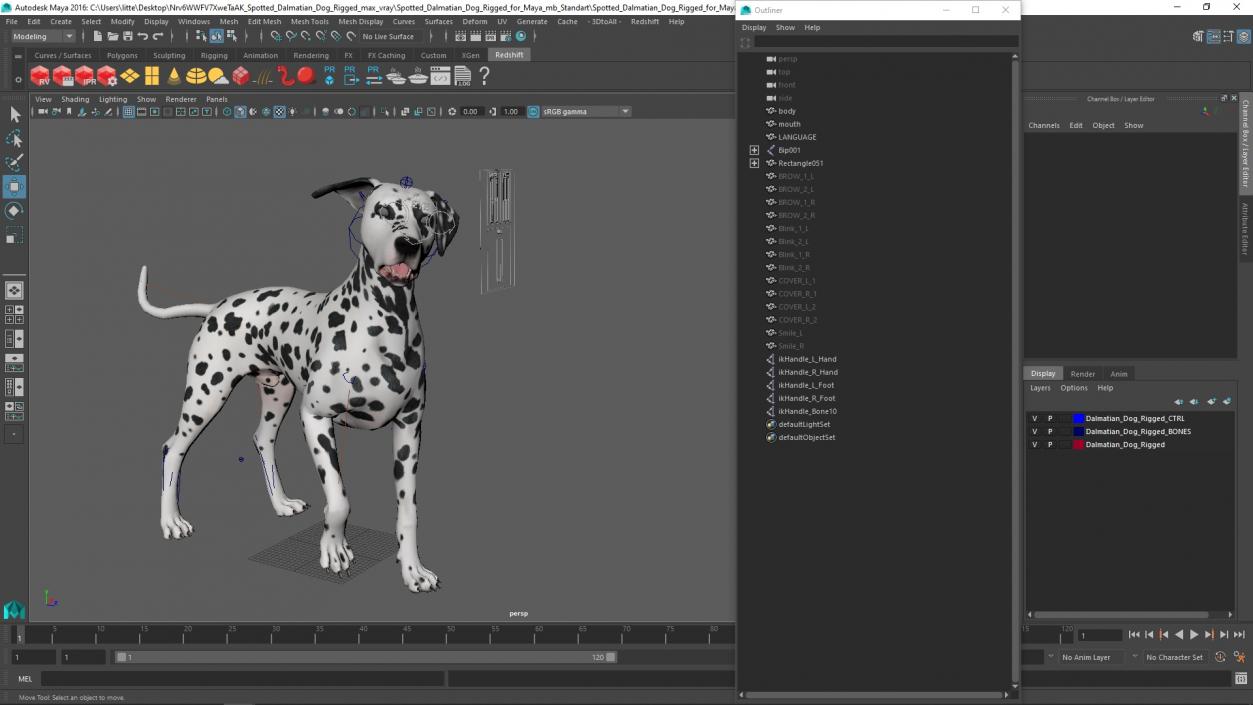 Spotted Dalmatian Dog Rigged for Maya 2 3D model