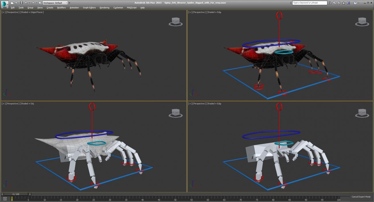 Spiny Orb Weaver Spider Rigged with Fur 3D model