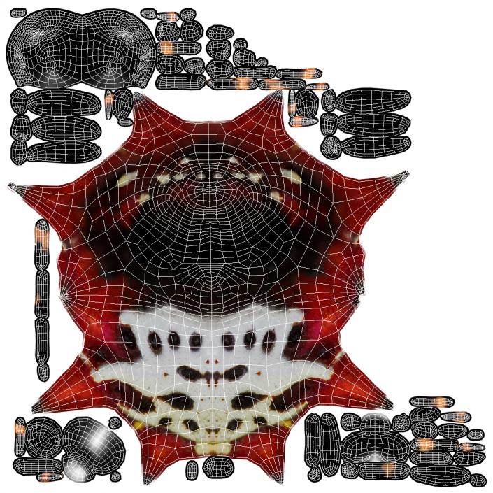 Spiny Orb Weaver Spider Rigged with Fur 3D model