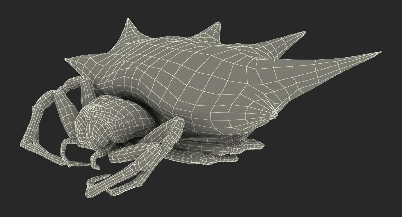 Spiny Orb Weaver Spider Rigged with Fur 3D model