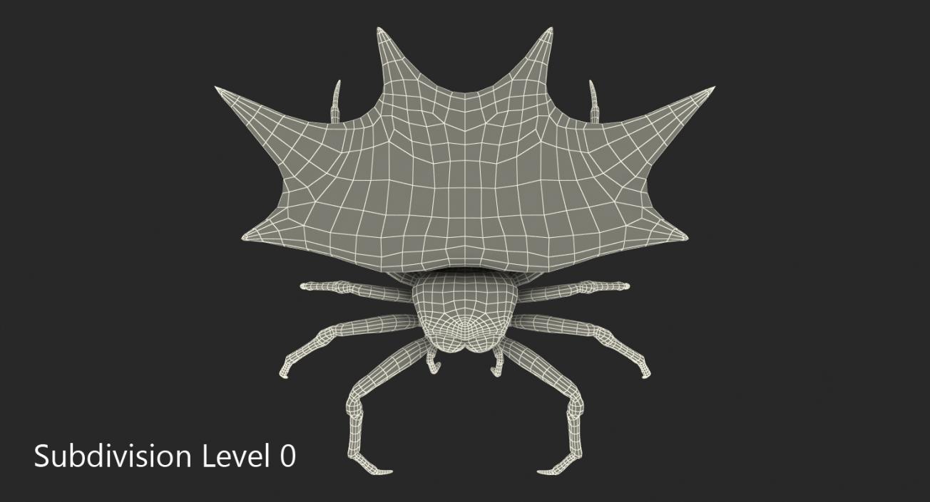 Spiny Orb Weaver Spider Rigged with Fur 3D model