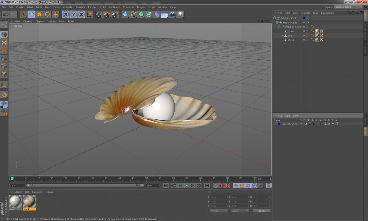 Pearl in Shell 3D model