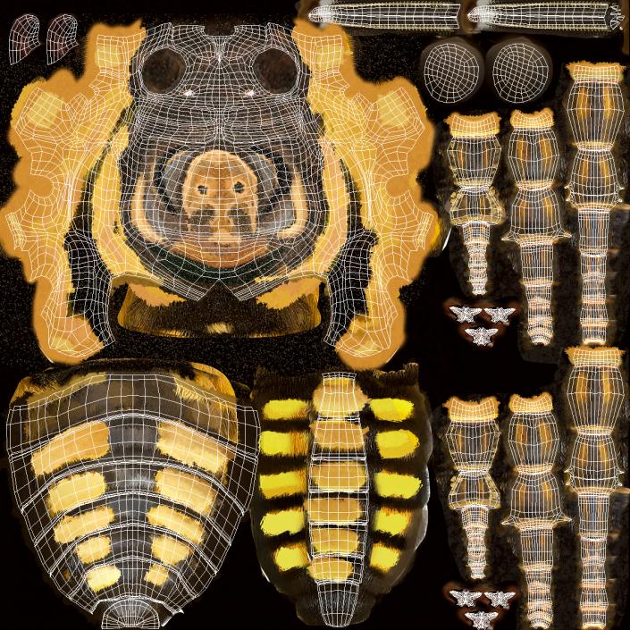 Greater Deaths Head Hawkmoth Flying Pose with Fur 3D model