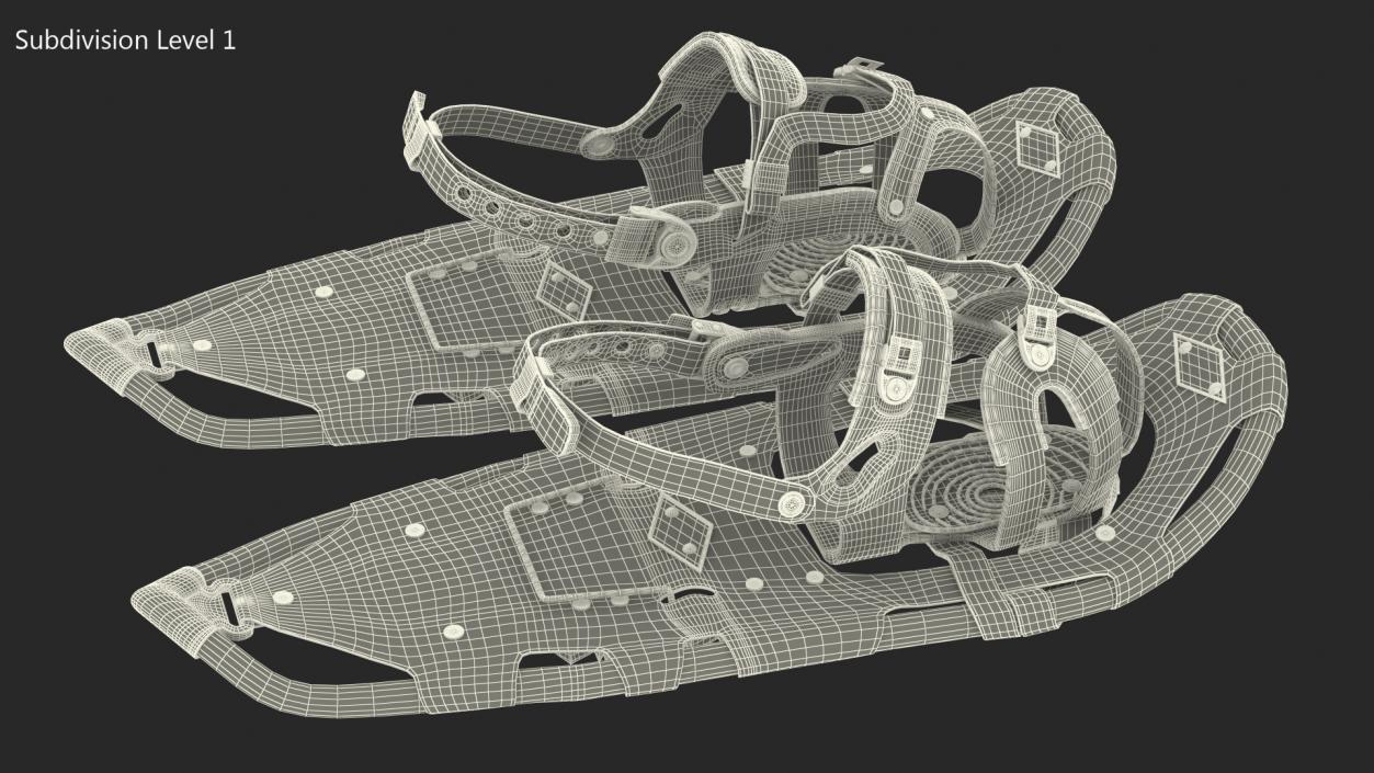 Mountain Snowshoes Atlas Blue 3D model