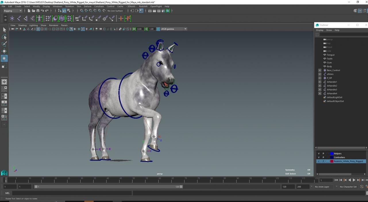 3D model Shetland Pony White Rigged for Maya