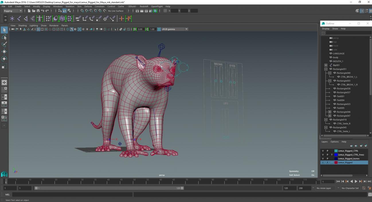 3D Lemur Rigged for Maya