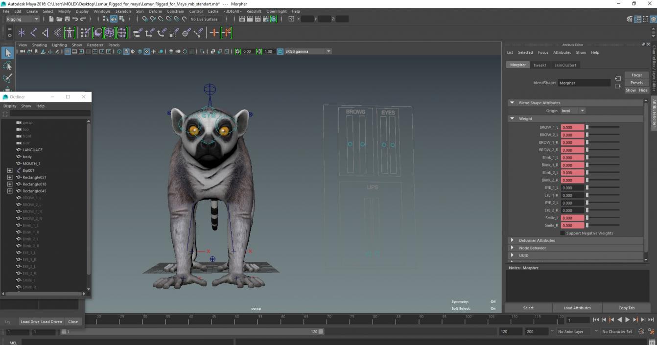 3D Lemur Rigged for Maya