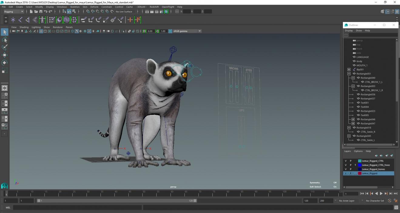 3D Lemur Rigged for Maya