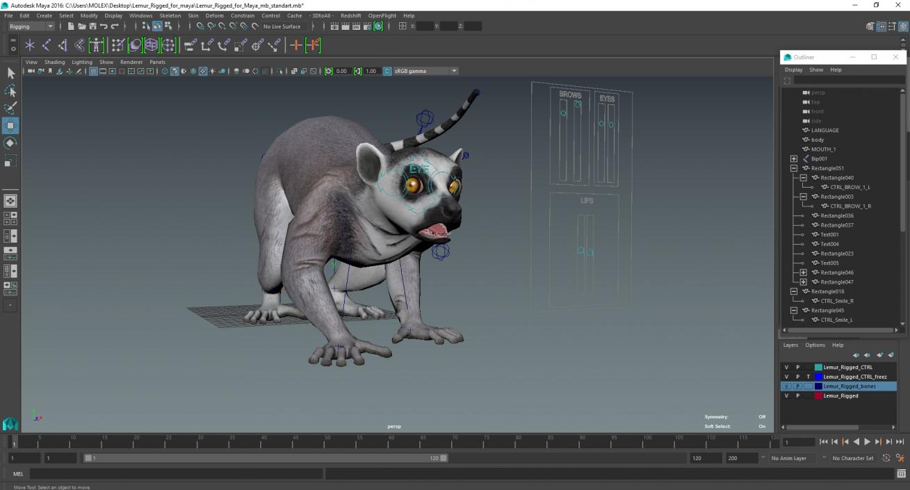 3D Lemur Rigged for Maya