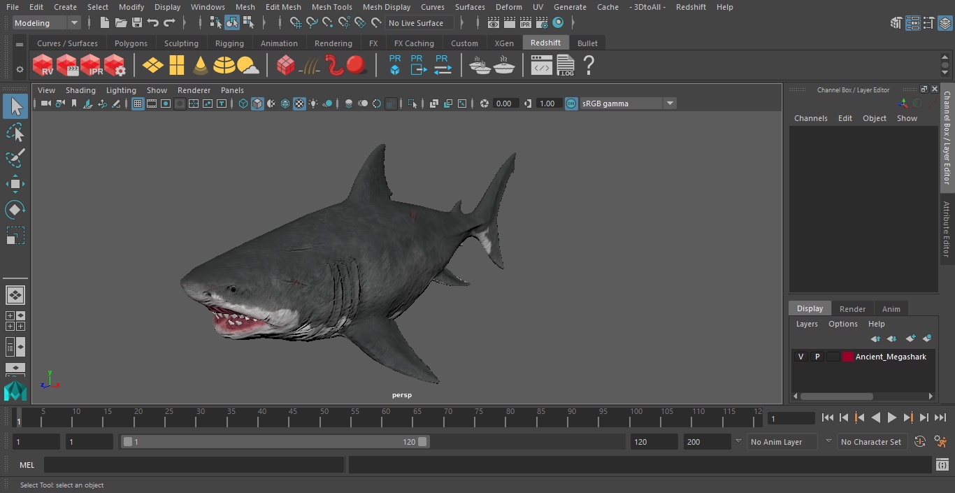 Ancient Megashark 3D