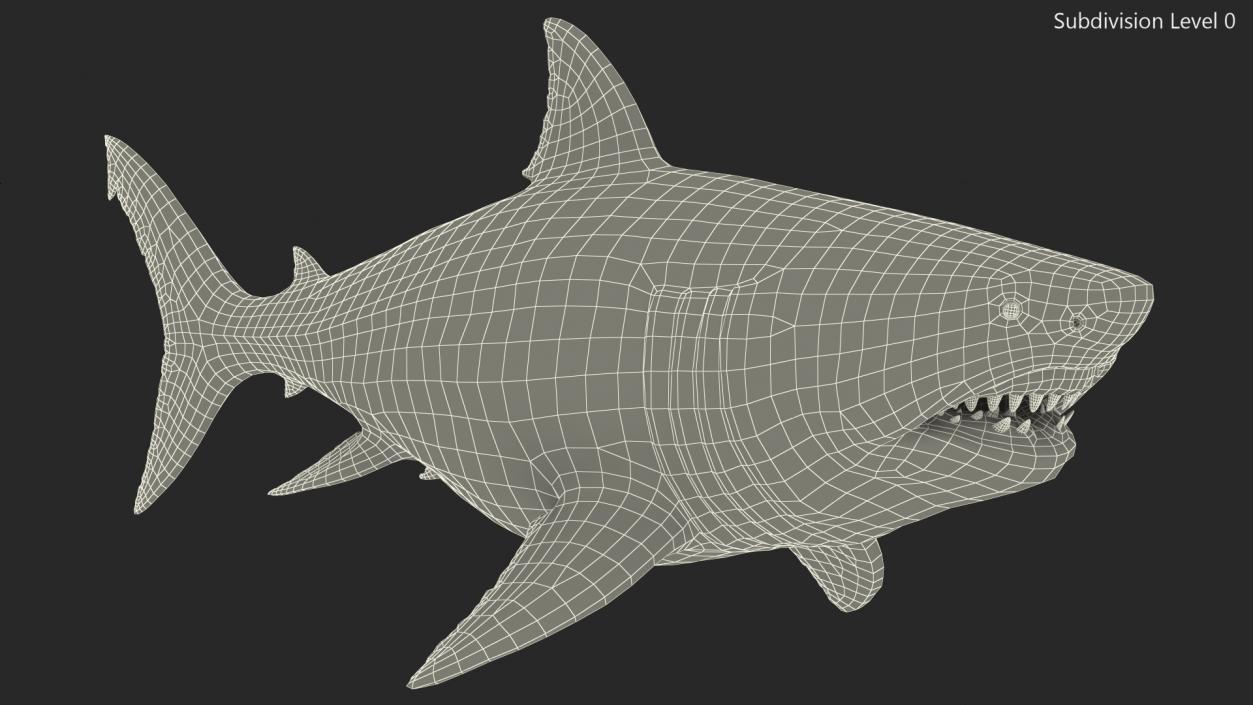 Ancient Megashark 3D