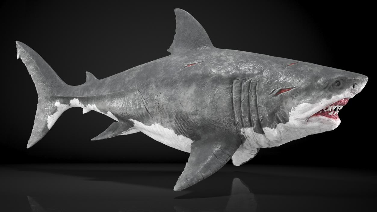 Ancient Megashark 3D