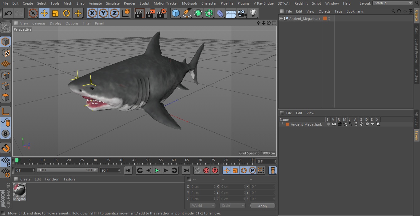 Ancient Megashark 3D