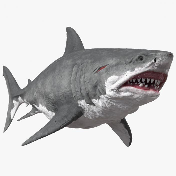 Ancient Megashark 3D