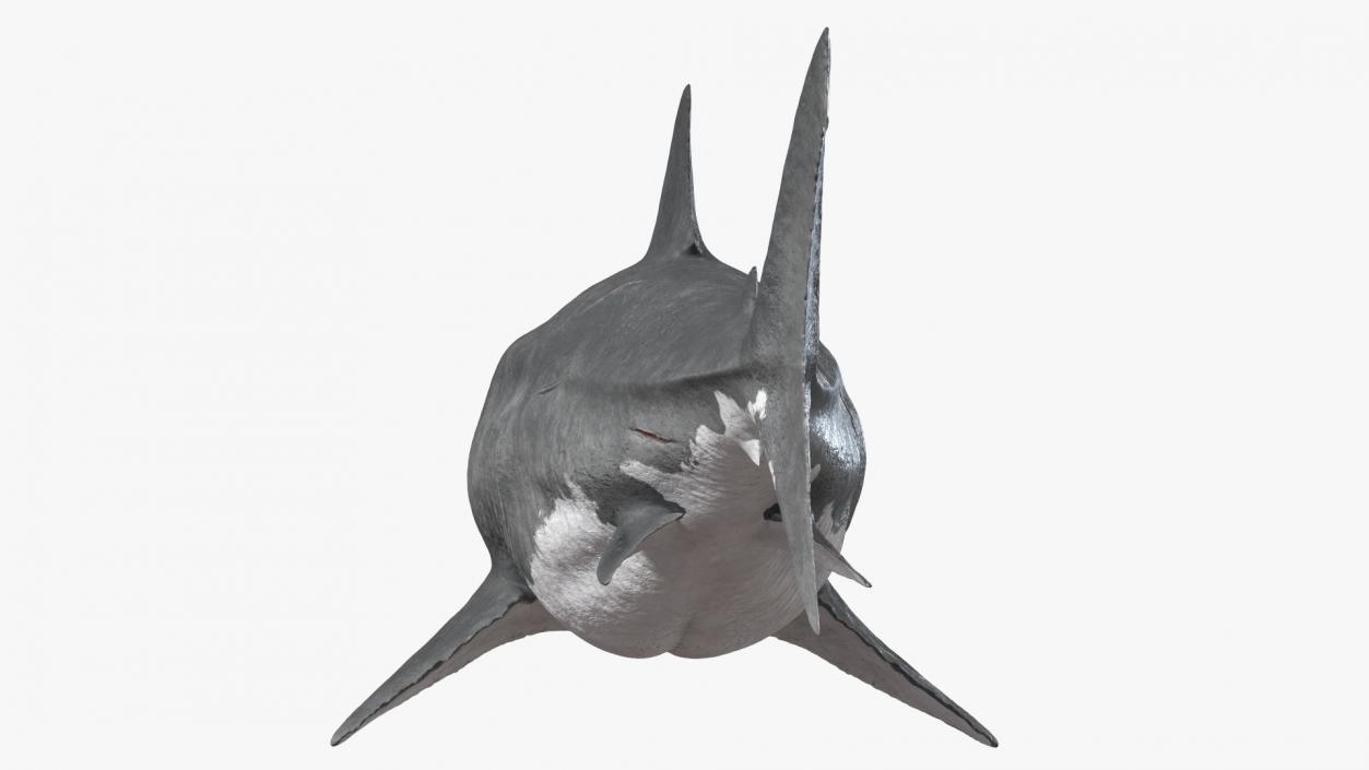 Ancient Megashark 3D