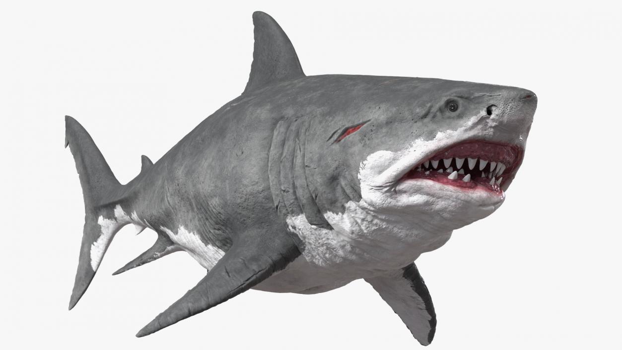 Ancient Megashark 3D