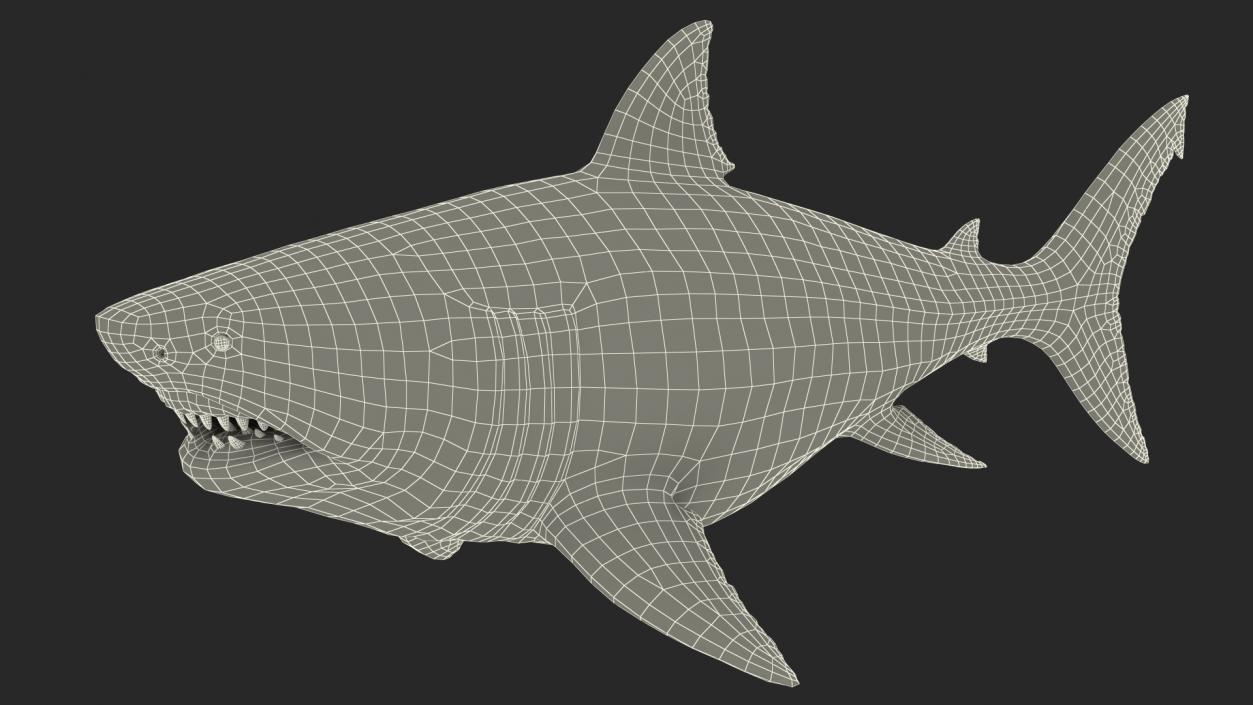 Ancient Megashark 3D