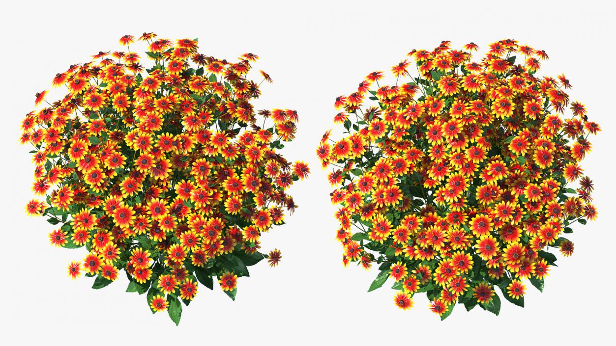 Flowering Plants Collection 9 3D model