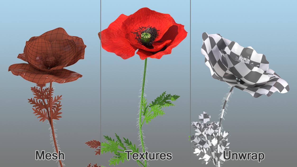 Flowering Plants Collection 9 3D model