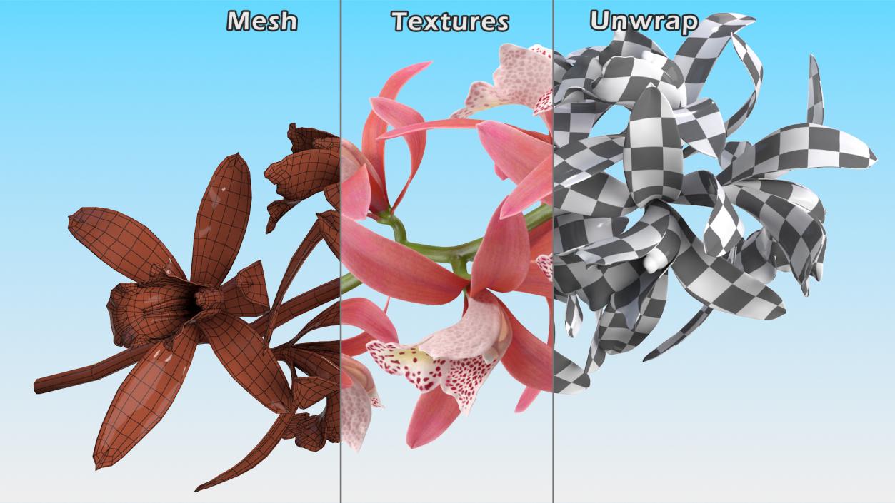 Flowering Plants Collection 9 3D model