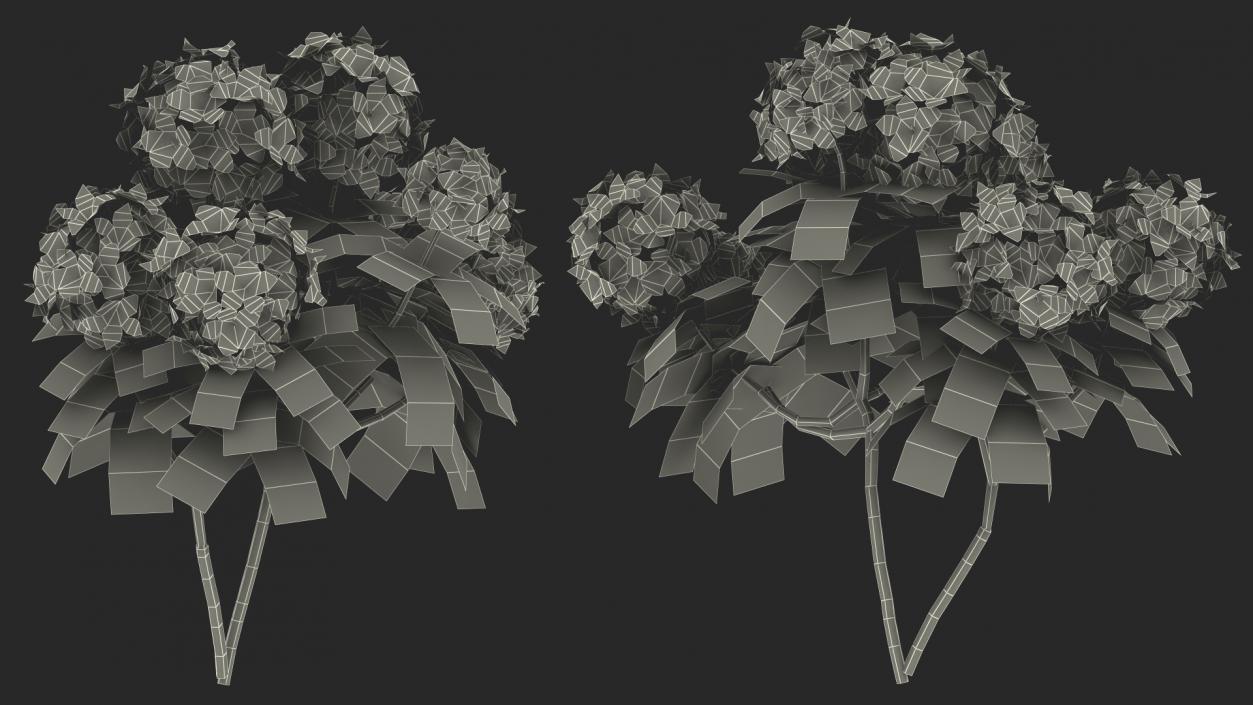 Flowering Plants Collection 9 3D model