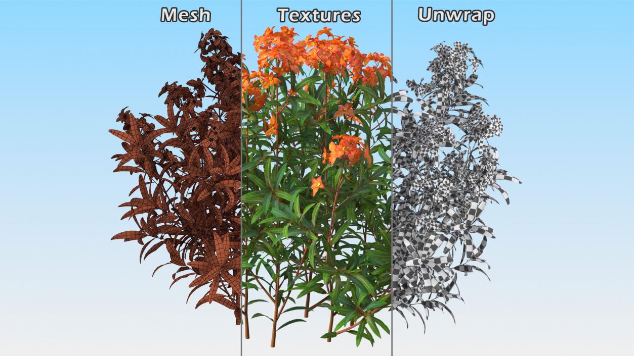 Flowering Plants Collection 9 3D model