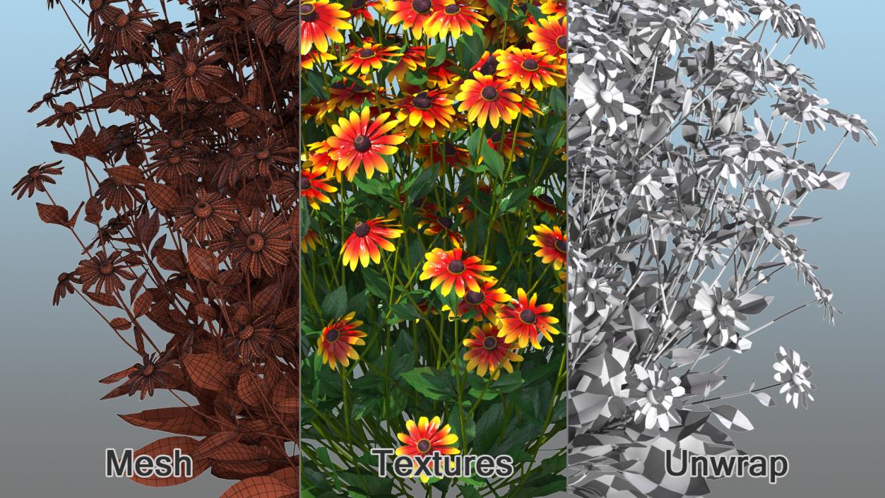 Flowering Plants Collection 9 3D model