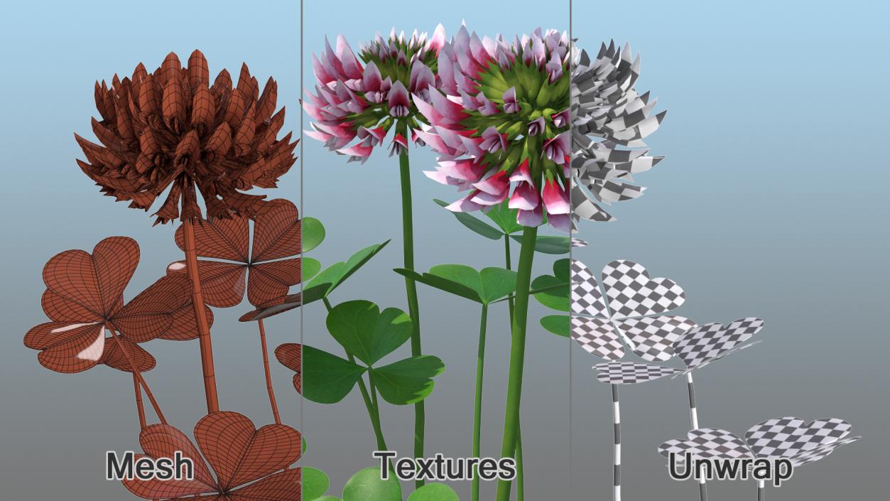 Flowering Plants Collection 9 3D model