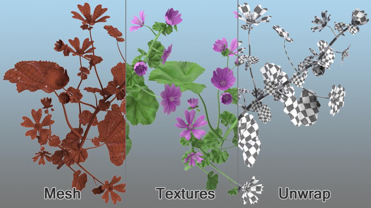 Flowering Plants Collection 9 3D model